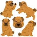 Simple and adorable illustrations of Shar-Pei Dog flat colored