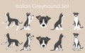 Simple and adorable Italian Greyhound illustrations set