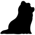Simple and adorable Long Haired Yorkshire Terrier Silhouettte sitting in side view Royalty Free Stock Photo