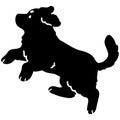 Simple and adorable Mountain Dog Silhouette jumping with details