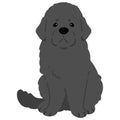 Simple and adorable Newfoundland dog illustration sitting in front view flat colored Royalty Free Stock Photo