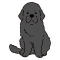 Simple and adorable Newfoundland dog illustration sitting in front view Royalty Free Stock Photo