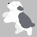 Simple and adorable Old English Sheepdog illustration running flat colored
