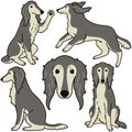 Simple and adorable Saluki dog illustrations