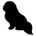 Simple and adorable silhouette of Pekingese dog sitting in side view