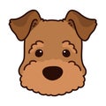 Simple and adorable Welsh Terrier illustration Front Face