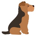 Simple and adorable Welsh Terrier illustration Sitting in Side view flat colored