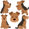 Simple and adorable Welsh Terrier illustrations flat colored