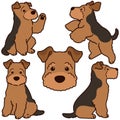 Simple and adorable Welsh Terrier illustrations