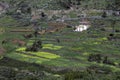 Simple agricultural fields in the narrow elongated plain of Arure, La Gomera.