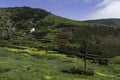 Simple agricultural fields in the narrow elongated plain of Arure, La Gomera.