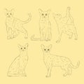 Simple Animal Abbysian Cat. Hand Drawn Sketch Set Royalty Free Stock Photo