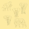 Simple Animal African Bush Elephant. Hand Drawn Sketch Set