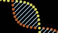Simple animation of moving dna. Design. Beautiful rotating dna structure of lines and dots. Colorful cartoon dna rotates