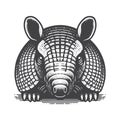 Simple Armadillo Front View Vintage Retro Vector Icon. Royalty Free Stock Photo