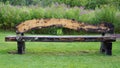 Long Artistic Log Bench in Garden Setting Royalty Free Stock Photo