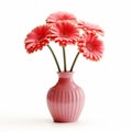 Simple Asian Vase With Gerbera Flower - Isolated On White Background Royalty Free Stock Photo