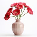 Simple Asian Vase With Gerbera Flower - Isolated On White Background Royalty Free Stock Photo