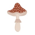 Simple Autumn amanita mushroom. Hand drawn stylized element for autumn decorative design, halloween invitation, harvest or