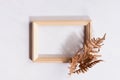 Simple autumn botany background for portfolio with dried brown fern leaf, blank photo frame in sun light with bizarre shadow.