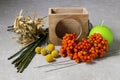 Simple autumn decoration with maple-tree seeds, craspedia.and rowan berry