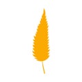 Simple autumn leaf, herbal element. Fall orange willow leaf. Autumn botanical flat plant element, willow