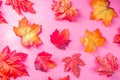 Simple autumn leaves pattern