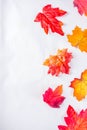 Simple autumn leaves pattern