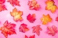 Simple autumn leaves pattern