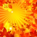 Simple autumn template on rays background vector illustration