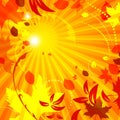 Simple autumn template vector background with flying leaves