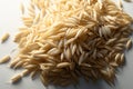 A simple backdrop enhances the isolated beauty of rice grains