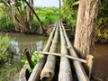 simple bamboo bridge over a small river Royalty Free Stock Photo