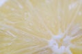Close-up photo of a yellow juicy lemon
