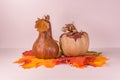 Simple beautiful squash and pumpkin for fall