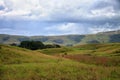 Simple and beautiful view to savanna with little patch of forest Royalty Free Stock Photo