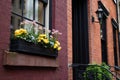 Beautiful Window Sill Flower Box with Colorful Flowers during Spring on an Old Brick Home in Greenwich Village of New York City Royalty Free Stock Photo