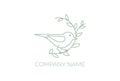 Simple Beauty Robin Canary Bird with Leaf Branch Logo Design Vector