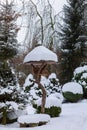 Simple bird feeder, birdhouse in winter
