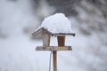 Simple bird feeder in winter garden