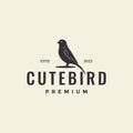 Simple bird hipster canary logo design vector graphic symbol icon illustration creative idea