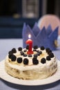 Simple birthday cake for one year old baby party, with berries and red candle Royalty Free Stock Photo