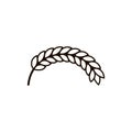 Bent spikelet. A semicircular curved shape. Royalty Free Stock Photo