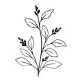 Simple black tree branch with berry and leaves. Hand drawn plant. Botanical vector floral element.