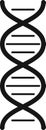 Simple black and white dna helix icon representing genetic code, genome sequencing, and biological inheritance, ideal