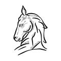 Simple black and white drawing of horse head Royalty Free Stock Photo