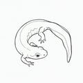 Simple black and white line drawing of a lizard-like creature, possibly a salamander, Royalty Free Stock Photo