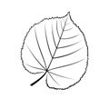 Black and white vector illustration of a leaf of linden