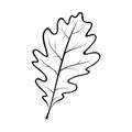Black and white vector illustration of an oak leaf Royalty Free Stock Photo