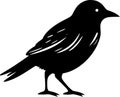 Crow - black and white isolated icon - vector illustration Royalty Free Stock Photo